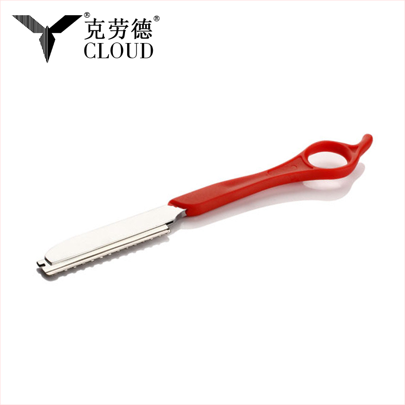 Rasoir de coupe de cheveux rasoir droit en acier inoxydable (poignée en plastique)